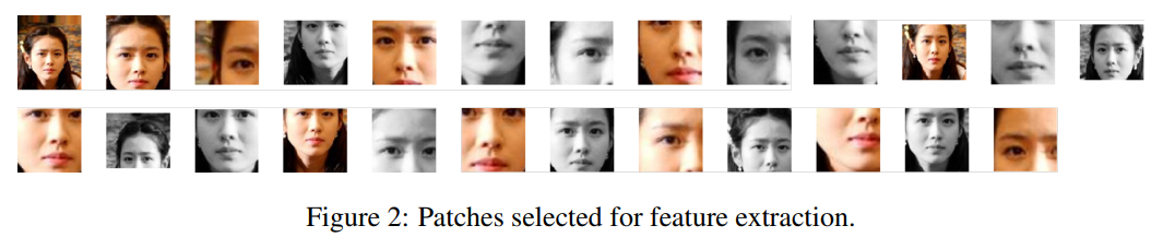 Patches selected for feature extraction